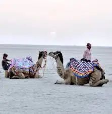 કચ્છનું રણ ઉત્સવ: સફેદ રણનો પ્રવાસન ઇતિહાસ.