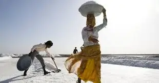 અગરિયાઓ અને મીઠું: કચ્છના રણમાં મીઠું પકવતા સમુદાયની જીવનશૈલી.