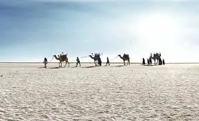 કચ્છનું સફેદ રણ: ભૌગોલિક રચના અને પ્રવાસન વિકાસ.