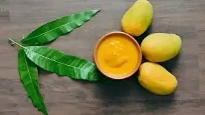 કેસર કેરીનો ઇતિહાસ: ગીર પંથકની ઓળખ, કલમી આંબાઓ અને નવાબોનો શોખ.