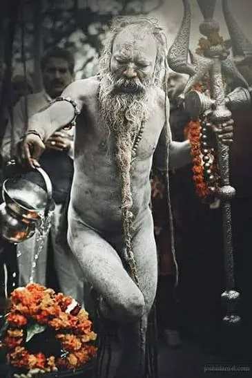 ગિરનારના અઘોરી સાધુઓ: શું છે નવનાથ અને ચોર્યાસી સિદ્ધોનું રહસ્ય?